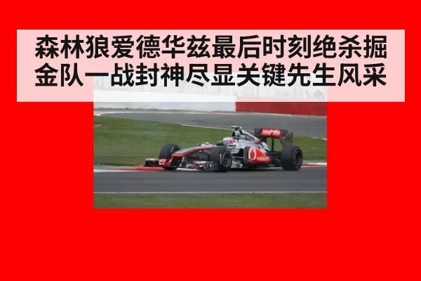 森林狼爱德华兹最后时刻绝杀掘金队一战封神尽显关键先生风采